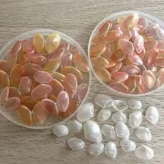 天然 桜貝 さくら貝 貝殻 中2 小1 計 約1kg+57インテリア パーツ 41aDqY4T-sL._UF350,350_QL50_.jpg
