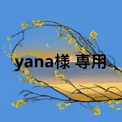 r.r.r様 専用