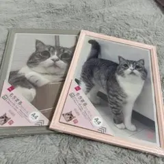 E.M様 リクエスト 3点 まとめ商品