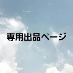 専用ページ