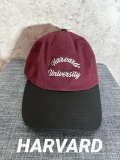 Item thumbnail for item 989fae9e-aa4c-48f6-839f-aeb3549bafcf