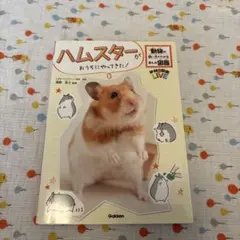 Item thumbnail for item 626f84b8-bbbc-4dfc-a425-408134d2e254