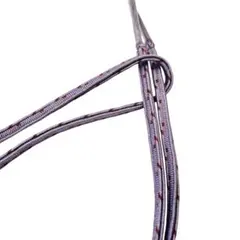 Item thumbnail for item e4b36dfb-903d-4c69-a6eb-736125ad56fd