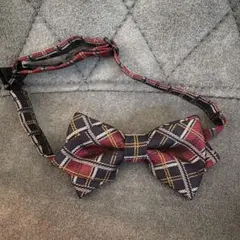 Item thumbnail for item 9ce28e07-ad12-4c9a-ad93-77b11f7bb989