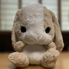 2025年最新】みるくてぃーちゃんの人気アイテム - メルカリ