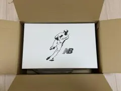 Shohei Ohtani × New Balance 990V6 大谷翔平のサムネイル