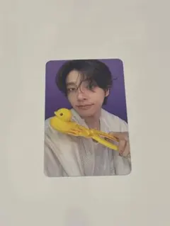 daydream K-POP タレントカード