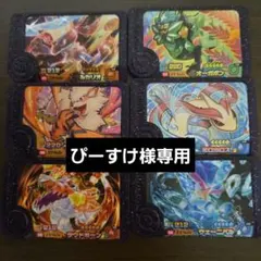 ぴーすけ様専用