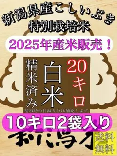 精米済み 5キロ4袋 【農家直送！】新潟県産こしいぶき 特別栽培米 7
