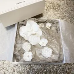 orgablanca ベルタ