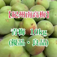 青梅 小梅 10kg ☆1箱限定‼︎☆ 農薬不使用 栃木県 - メルカリ