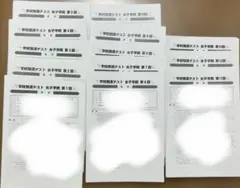 女子学院 四谷大塚　第1～13回 学校別週テスト 2025年受験 女子学院 四谷大塚 第1～13回 学校別週テスト 2025年受験 - メルカリ