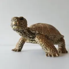 リアルな亀　樹脂製置物　リクガメ　TORTOISE