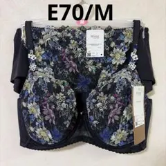 Item thumbnail for item c09ab21b-6266-4ce1-9efd-3656dc779edd