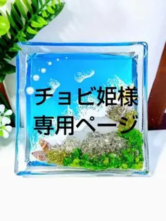 チョビ姫様専用ページ