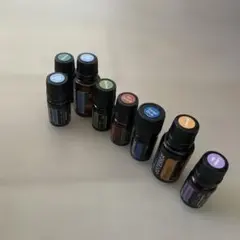 【開封品】ビジョン・成功・前進10本セット 旧ラベル ヤングリビング 開封品】ビジョン・成功・前進10本セット 旧ラベル ヤングリビング