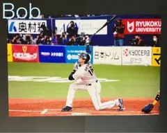2025年最新】大谷翔平 wbc ボールの人気アイテム - メルカリ