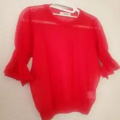 今日限定値下げ！美品　Andemiu　半袖　シースルー　トップス　フリーサイズのサムネイル
