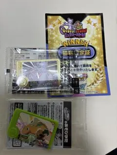 ポケモンフレンダ　ミュウツー　スペシャルフレンダピック　勝利認定証　カイリュー