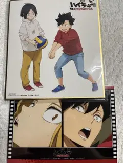 ハイキュー!! 色紙 黒尾鉄朗 孤爪研磨