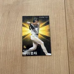 柳田悠岐 ソフトバンクホークス 2023年 カード