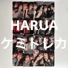 &TEAM HARUA ハルア トレカ ケミ Back to Life