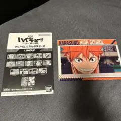 劇場版 ハイキュー！！ クリアビジュアルポスター2 日向翔陽