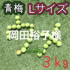 127 岡田裕子様　青梅　Lサイズ　3キロ