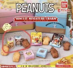 PEANUTS スヌーピー　ビスケットミニチュアチャーム　丸缶　2点セット