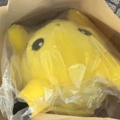 ポケットモンスター ポケモン30周年記念 おかえり！ピカチュウ1/1