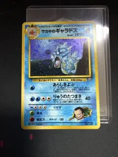 2026年最新】大玉ホロの人気アイテム - メルカリ