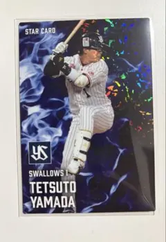 2025年最新】山田哲人 カードの人気アイテム - メルカリ