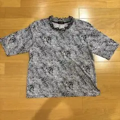 Item thumbnail for item 9b4478a5-063e-4322-9d9c-c126daf205ba