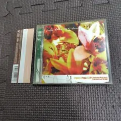 puli fellows met by chance CD