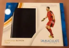 BUFFON IMMACULATE JUMBO　15シリアル