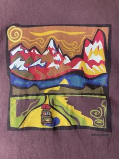 90s USA製ヴィンテージ パタゴニア　patagonia ロゴtシャツ