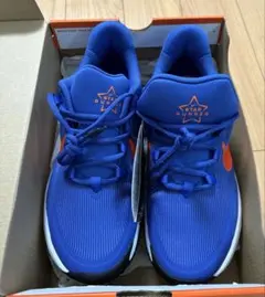 Item thumbnail for item 838d890e-68c4-4ef8-abd4-2bdbc9b38f36