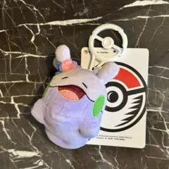 海外限定 ポケモン コダックはノーてんき ヌメラ マスコット ぬいぐるみ