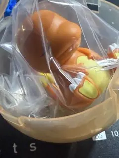 肩ズン fig8 ポケモン　ヒトカゲ