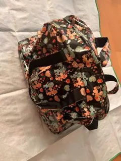 Item thumbnail for item 6fca6541-78fd-4387-a727-98aae21dfb5d