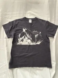 Kamogawa Seaworld シャチ プリント Tシャツ Sサイズ