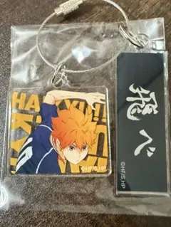 ハイキュー!! トレーディングアクリル2連キーホルダー　日向翔陽