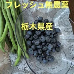 さやいんげん＆ブルーベリーのサムネイル