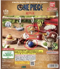ONE PIECE めじるしアクセサリー　2種