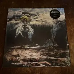 2025年最新】john frusciante レコードの人気アイテム - メルカリ