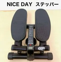 ショップジャパン ナイスデイ 健康ステッパー ND-1R 足踏み