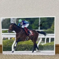 非売品 TCK 大井競馬場　笹川翼さんサイン入り 池田エライザさんクリアファイル mqdefault.jpg