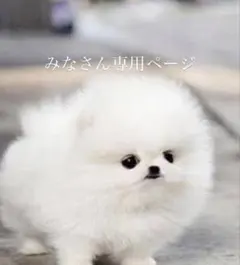 Item thumbnail for item 37680deb-460b-4e07-bafd-2893ec4b2cb5