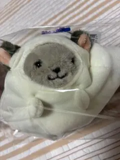 KALDI カルディ ハロウィン 2026 なりきりチンチラマスコット ゴースト