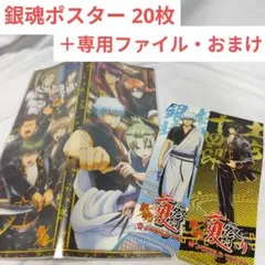 2026年最新】キャラポスコレクション収納ファイルの人気アイテム